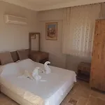 Palm Tree * 厄吕代尼兹