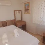 Palm Tree Villa