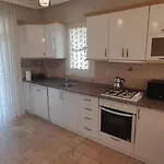 Palm Tree Villa