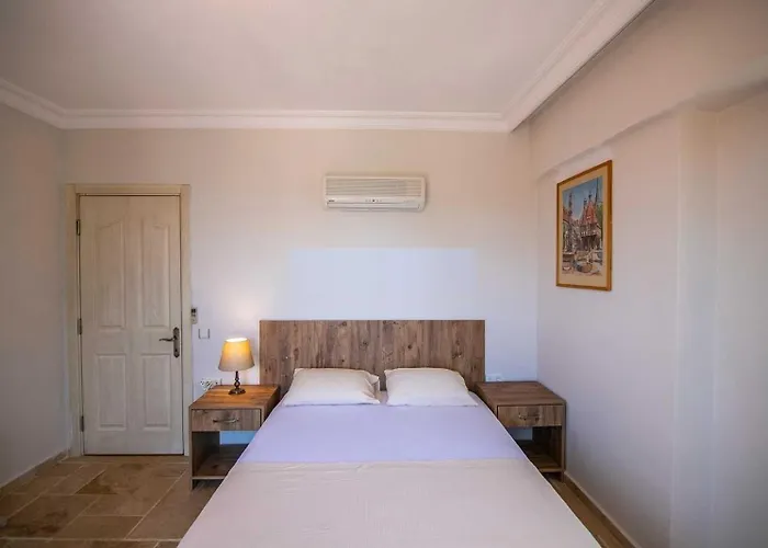 Palm Tree Βίλα Ολουντενίζ