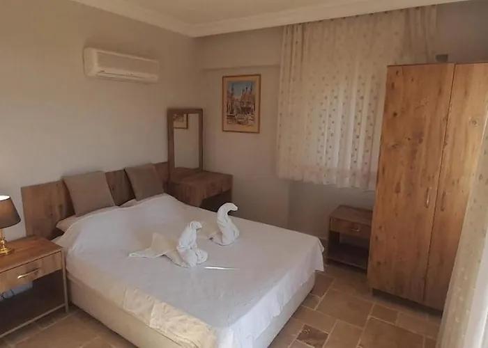 Palm Tree * Ολουντενίζ