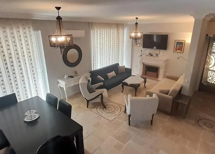 Palm Tree * Ολουντενίζ