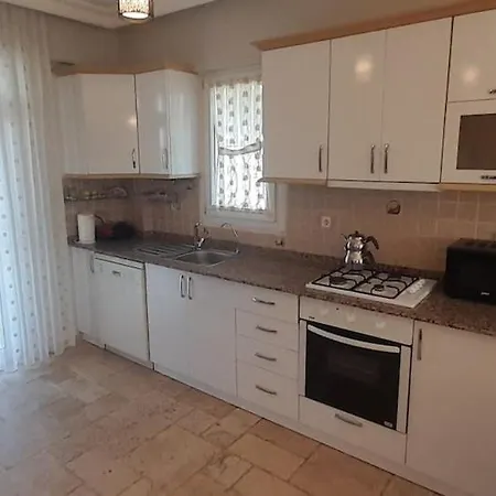 Palm Tree Вилла