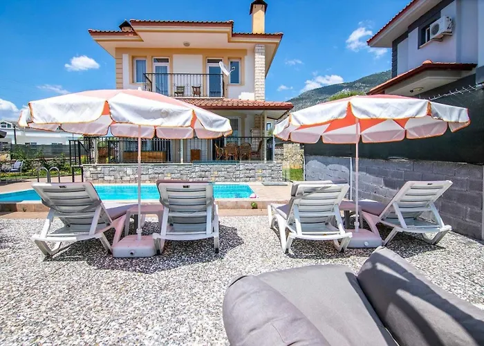 Palm Tree Ölüdeniz